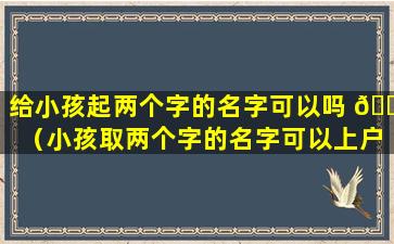 给小孩起两个字的名字可以吗 🐝 （小孩取两个字的名字可以上户口吗）